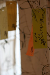 a0007906_6312362.jpg