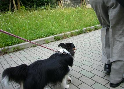 e0130008_21255061.jpg