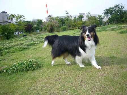 e0130008_2131255.jpg