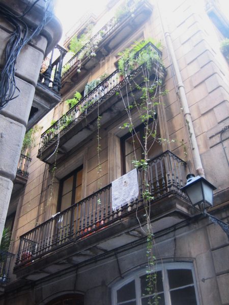 b0064411_15534633.jpg