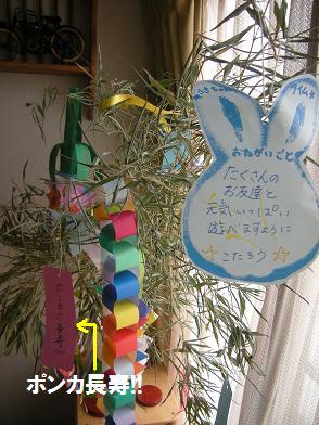 a0042313_1754613.jpg