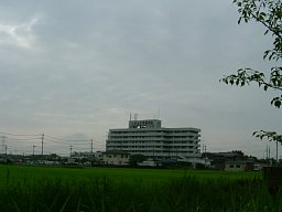 f0153115_238563.jpg