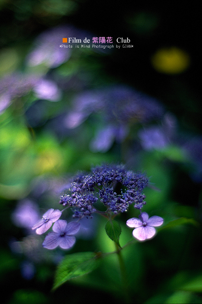 e0006219_22325591.jpg