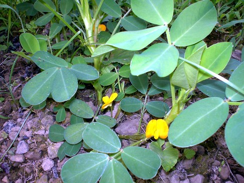 c0007822_830461.jpg