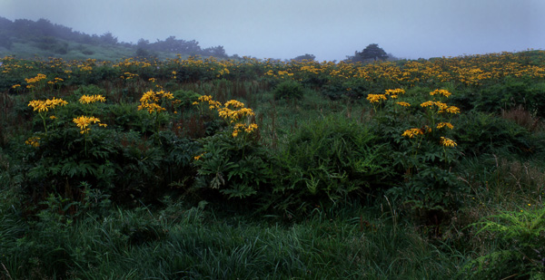 c0143722_22491314.jpg