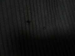 f0067123_16281442.jpg