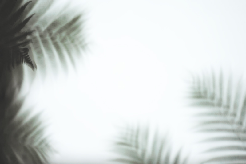 c0126428_22492898.jpg
