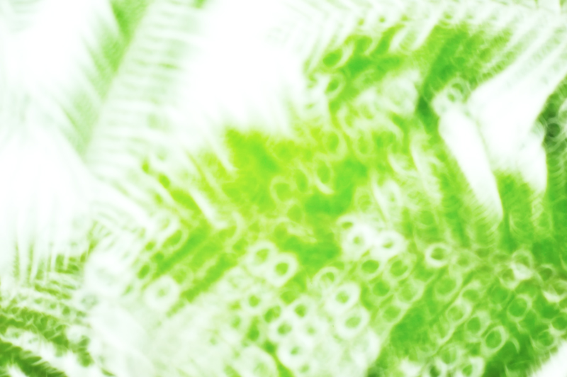 c0126428_22494441.jpg