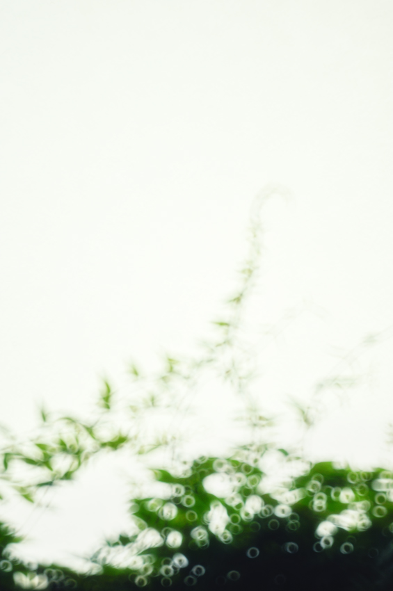 c0126428_22495689.jpg