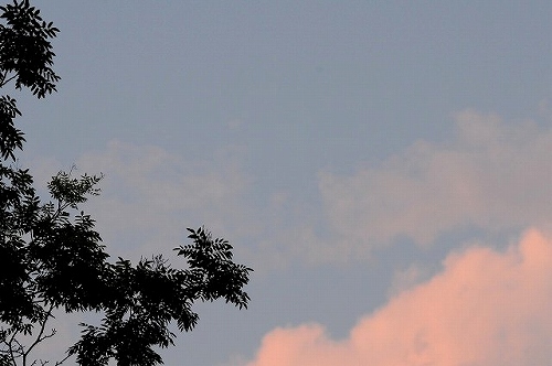 a0017634_5305519.jpg