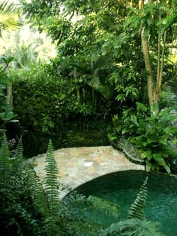 b0035734_16293265.jpg
