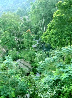 b0035734_19415113.jpg