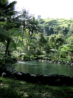 b0035734_19542279.jpg