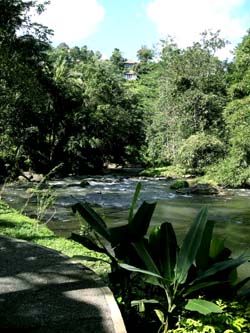 b0035734_19543161.jpg