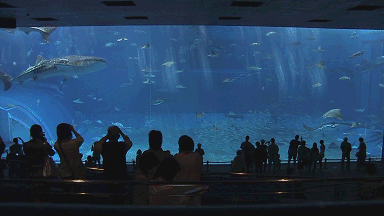 f0175934_2282915.gif