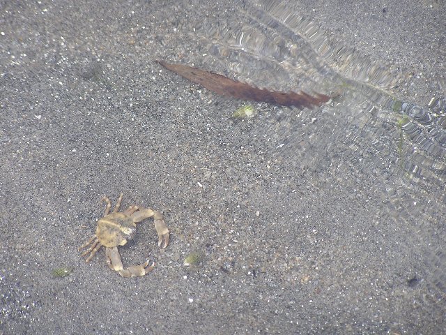 b0016836_2354468.jpg
