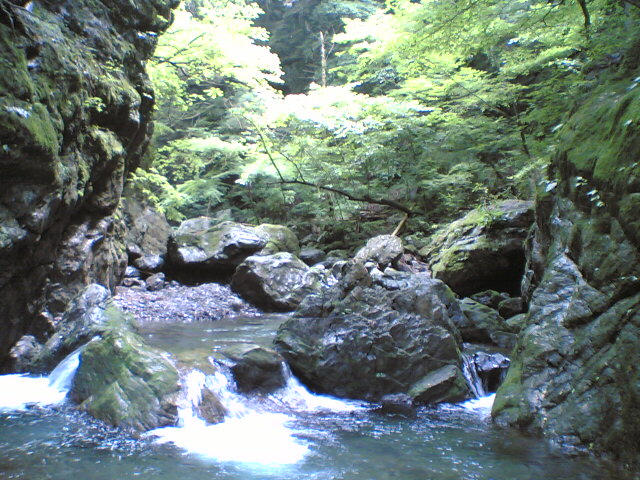 e0101537_1953783.jpg