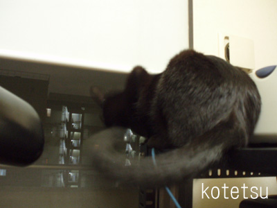 c0132438_2258725.jpg