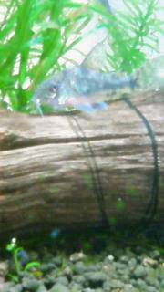 e0103439_229310.jpg