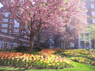 b0041442_85405.jpg