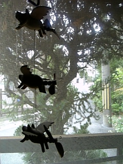 d0119745_10342321.jpg