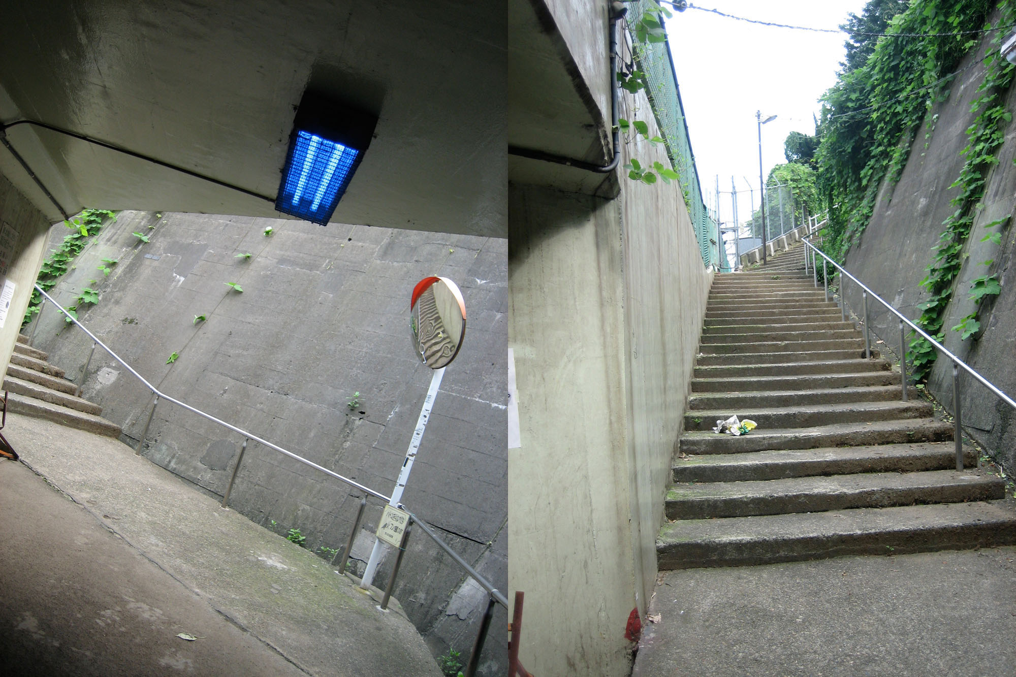 c0138553_0384871.jpg