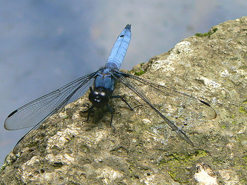 d0091754_19263467.jpg