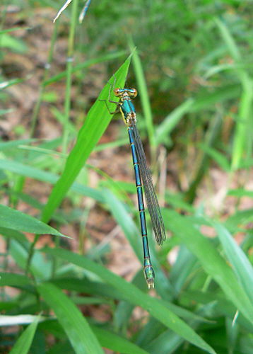 d0091754_22225566.jpg