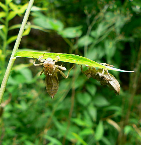 d0091754_2323543.jpg