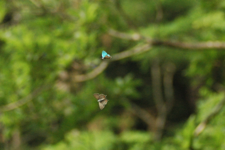d0098057_10143442.jpg