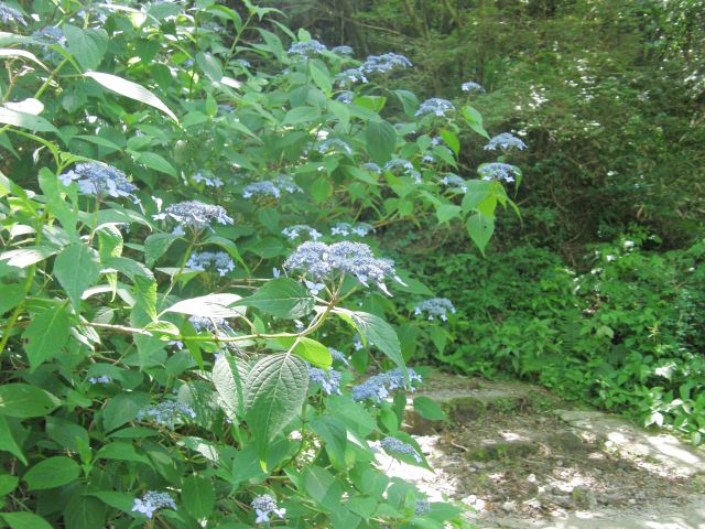 c0042869_20211088.jpg