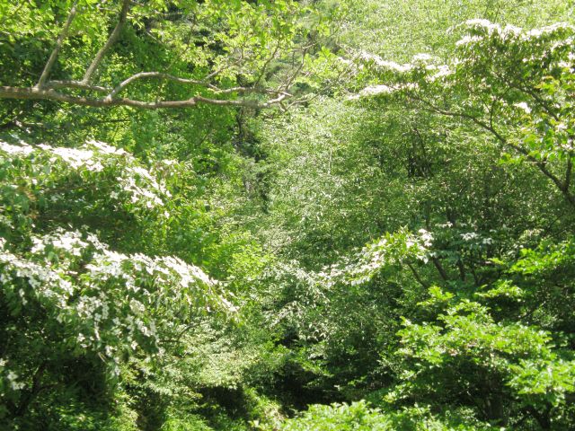 c0042869_20212634.jpg