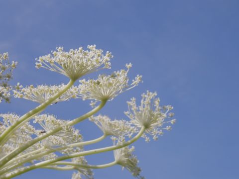 c0042869_20222050.jpg