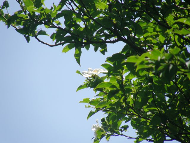 c0042869_2036271.jpg