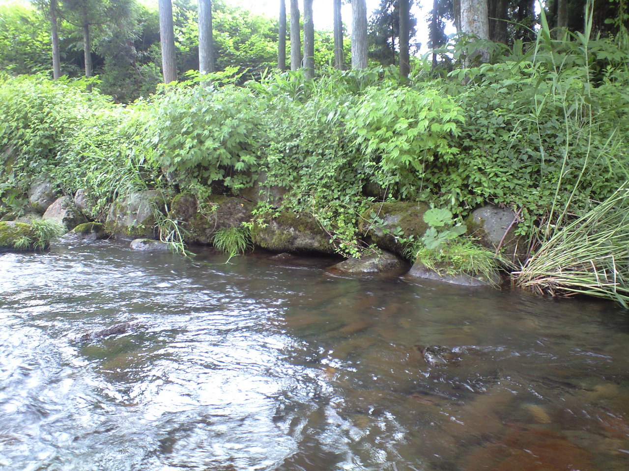 a0093677_21274512.jpg