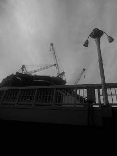 f0100480_0145386.jpg