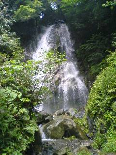 f0001781_8381435.jpg