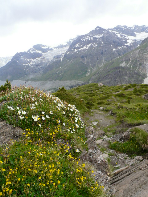 e0145782_22143888.jpg