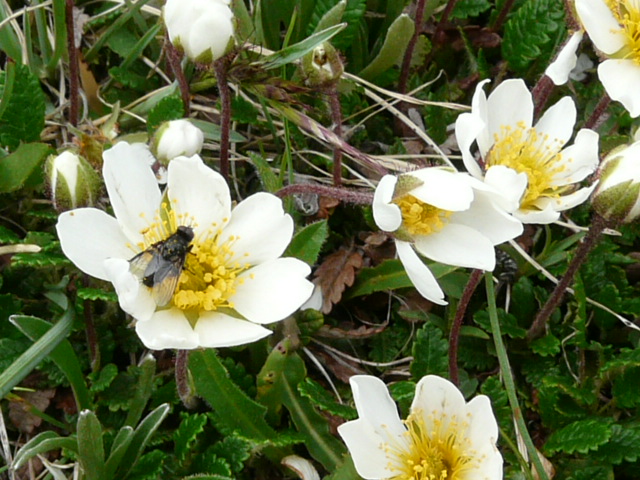 e0145782_2217064.jpg