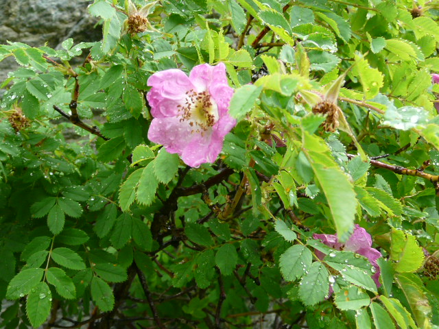 e0145782_2220873.jpg