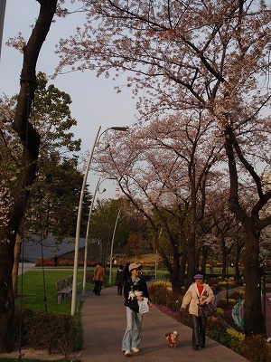 c0105785_859168.jpg