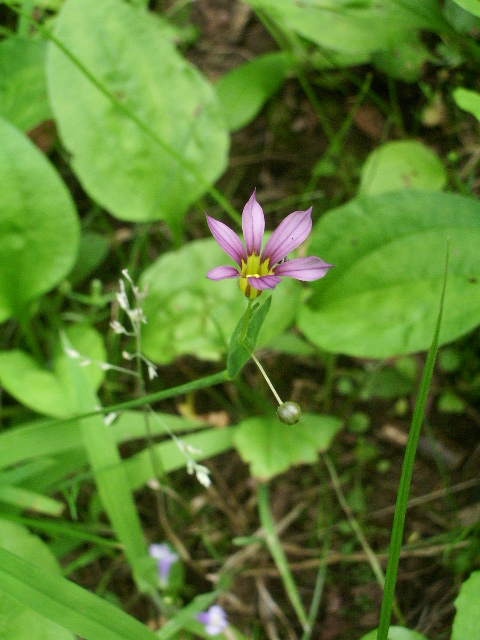 e0025300_21171647.jpg