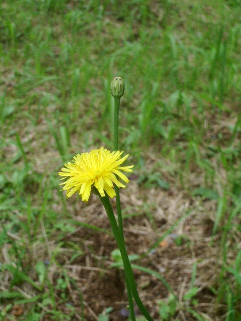 e0025300_21192552.jpg