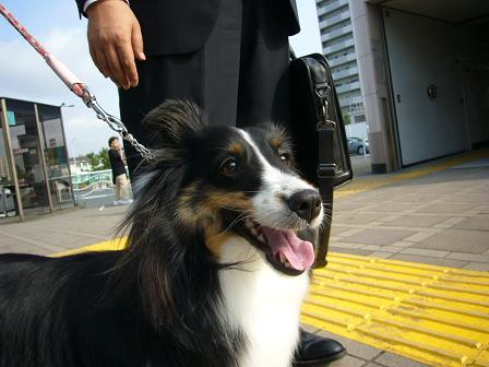 e0130008_21321233.jpg