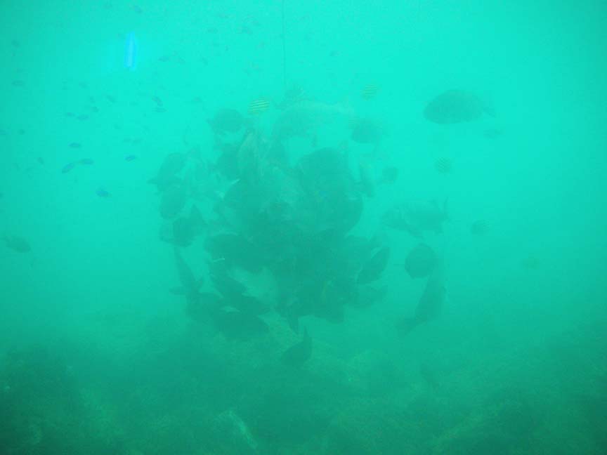 d0113610_17389.jpg