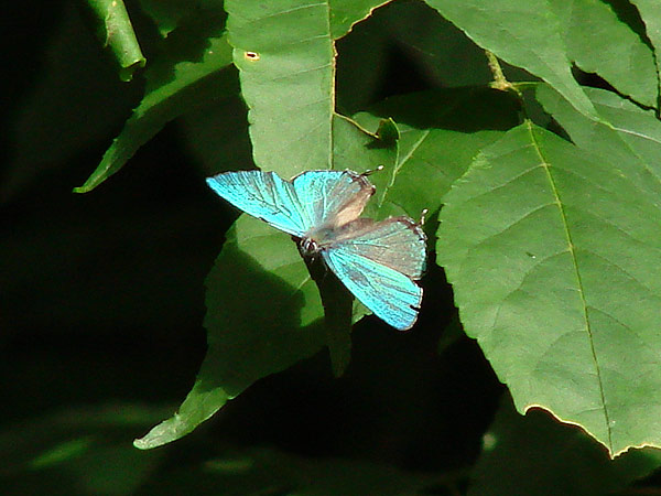 b0033112_049288.jpg