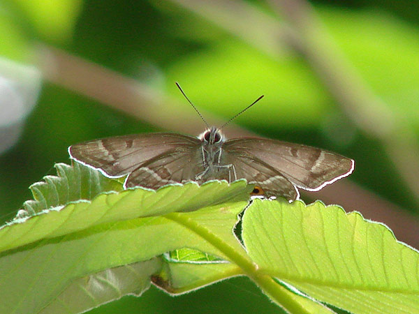 b0033112_0493732.jpg