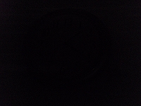 c0145016_1042024.jpg