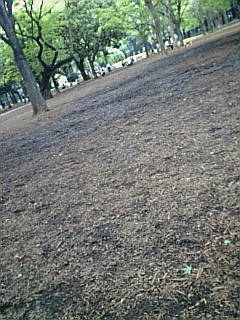 c0156021_3332384.jpg