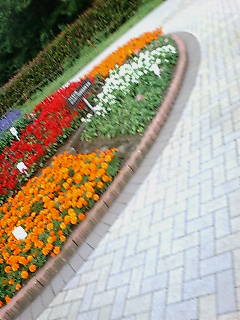 c0156021_3344979.jpg